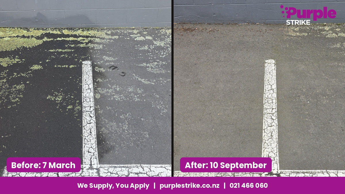 Car park before and after Purple Strike moss treatment